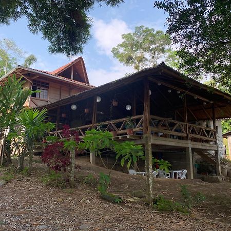 Playa Tortuga Leilighet Puerto Misahuallí Eksteriør bilde