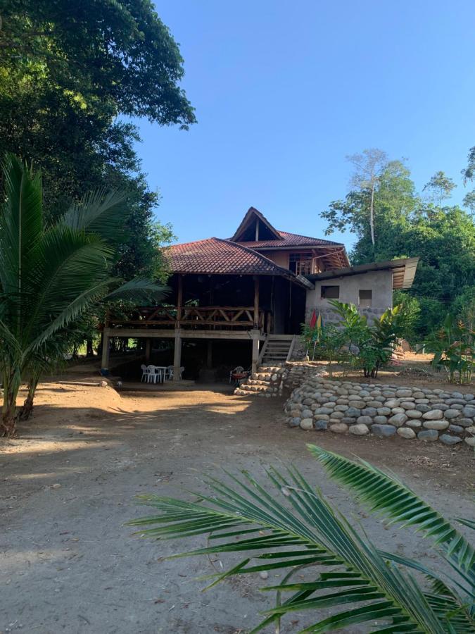 Playa Tortuga Leilighet Puerto Misahuallí Eksteriør bilde